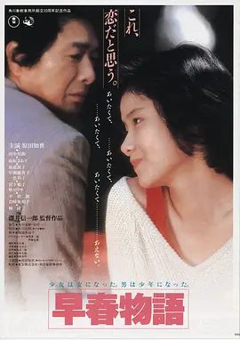 电影《城中大盗》海报